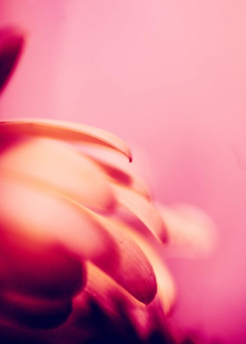 alexander-grey-83UQjdOlOME-unsplash